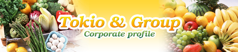 Tokio & Group Corporate profile